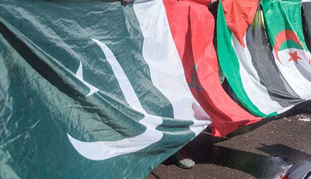 Young activists mobilize for human rights across the globe