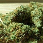 pot cannabis marijuana