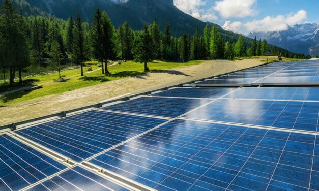 Alberta is killing a free-enterprise golden goose