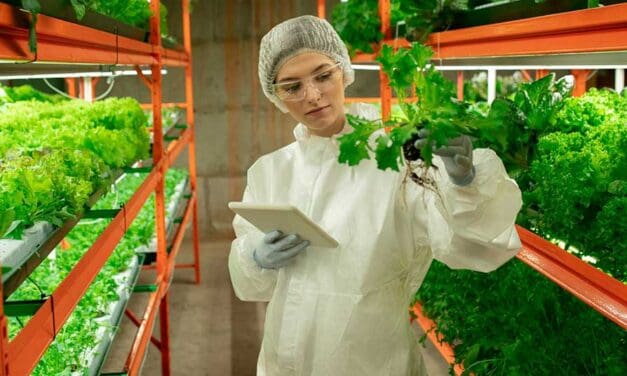 Carney’s nation-building plan forgets food