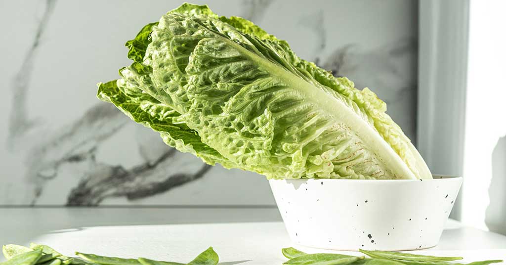 Food safety communication needs an AI overhaul
