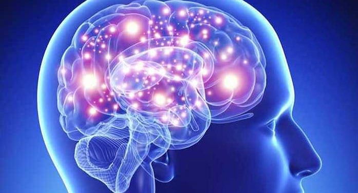 Brain molecule helps ‘wake up’ cells that could help tackle MS: study
