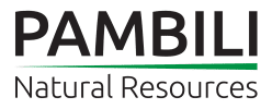 ‘Gold Mineralization . . . Which Merits Further Exploration’: Pambili Announces Final Phase 1 Report for Happy Valley Mine Drilling Program