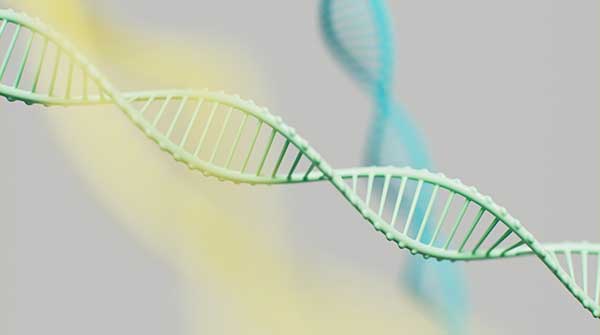 Research sheds light on mysterious “dark genome”