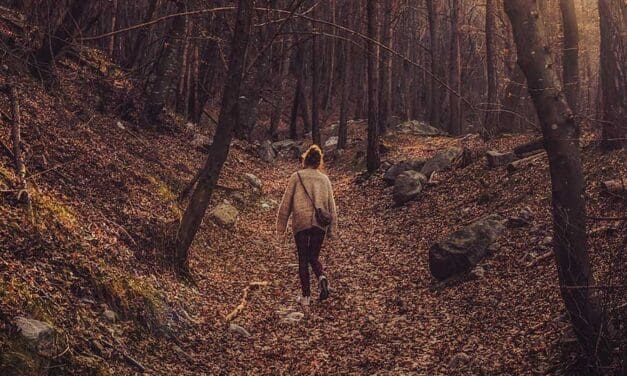 Freedom takes a back seat to bureaucratic convenience