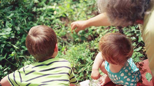 Grandparents’ guide to summer fun for the grandkids