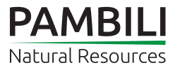 Pambili Signs Option to Purchase the London Wall Group of Gold Mines