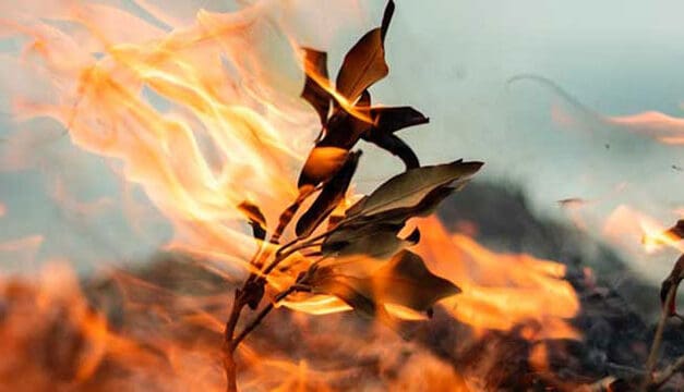 Learning to cope with the gradual onset of climate change