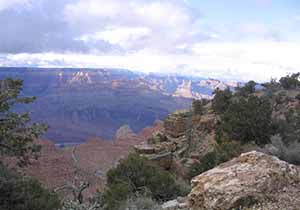 Grand Canyon california condor