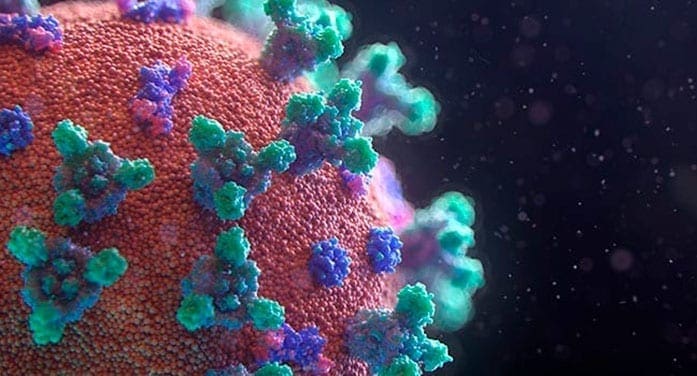 Study to examine the long-term effects of Covid-19 on vital organs