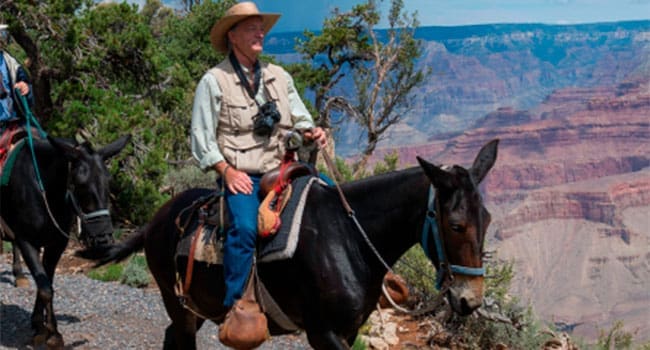 mule-ride650 • Troy Media A mule trip, however, is not like taking a bus tour to see the sights. Remember you're RIDING those mules