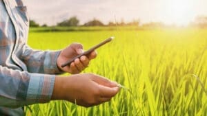 Smart farming: Agricultural app features for you to farm smarter in 2019