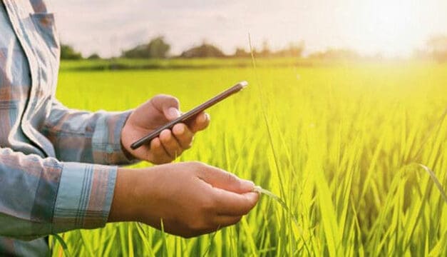 Internet of things will sow a bumper crop on farms