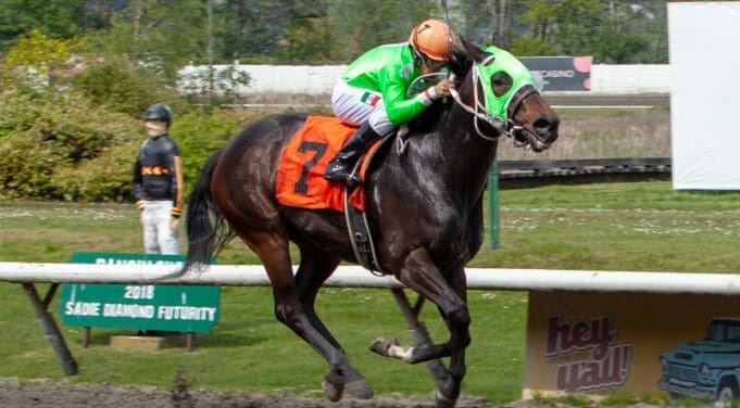 Horse betting: everything you need to know
