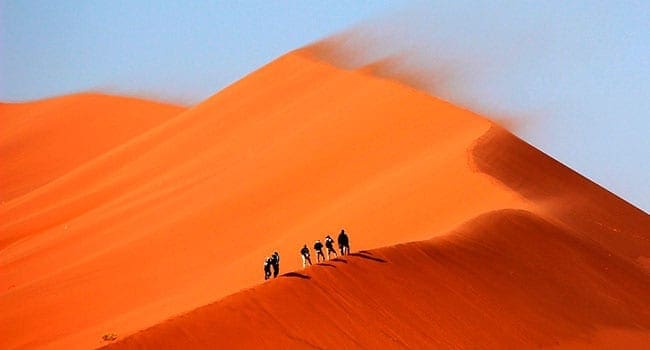 How to Adapt and Survive a Banking Desert