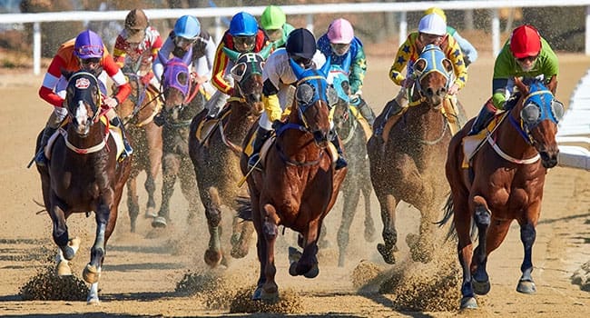 The Evolution of the Great Sport of Horse Racing