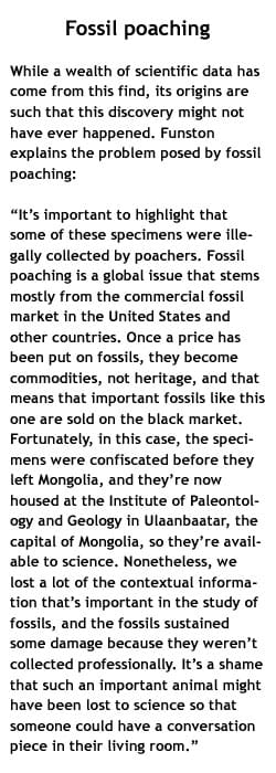 Fossil poaching