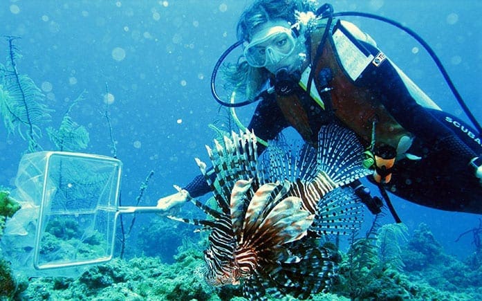 World record lion fish and highly effective method for getting