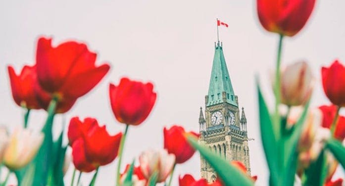 Things to See and Do in Canada this Spring