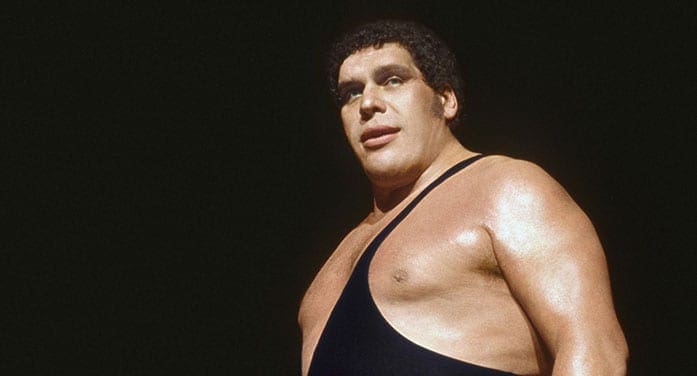 André the Giant wrestling wrestler entertainment