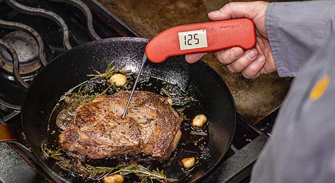 Thermapen ONE