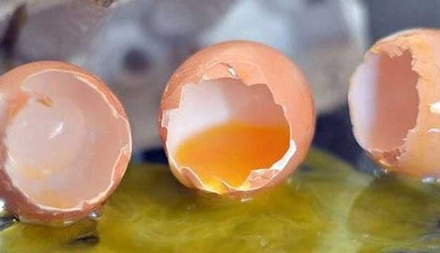 On fiscal prudence and tax relief, Ford lays an egg
