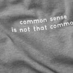 Is “common sense” politics just code for division?