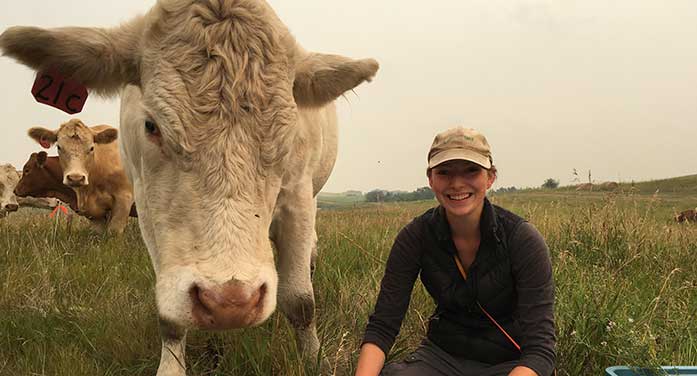 Jess Grenke cow cattle agriculture animal farm
