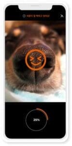 Petnow dog nose print app