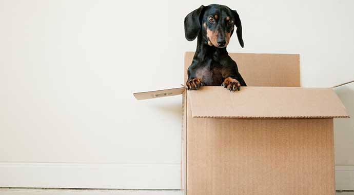 Sad About Moving? Here’s Why Your Move’s a GOOD Thing