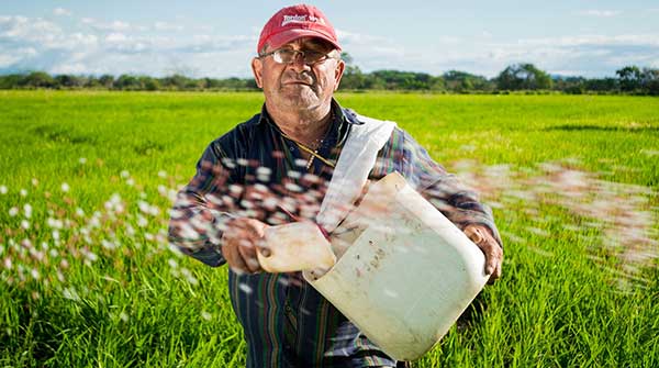 Farmers pay a high price for the convenience of consumers