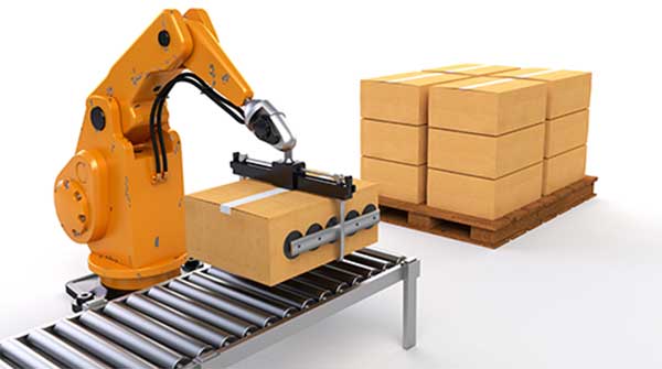 Types of Palletizers Making Businesses Easy