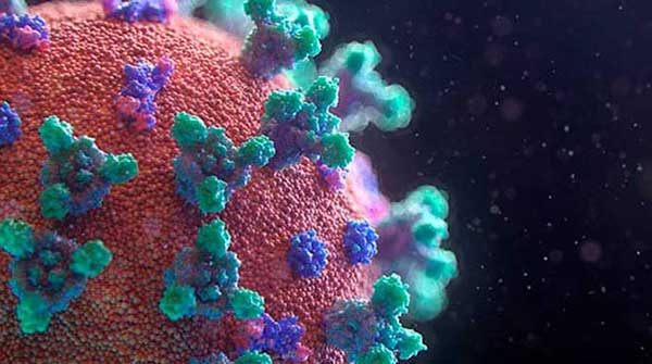 Anti-malarial drugs may be an effective treatment against coronavirus