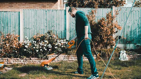 What Every Canadian Needs to Know About Lawn Care