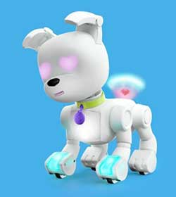 Play with robot DOG-E