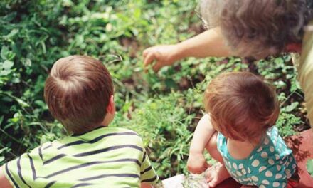 Grandparents’ guide to summer fun for the grandkids