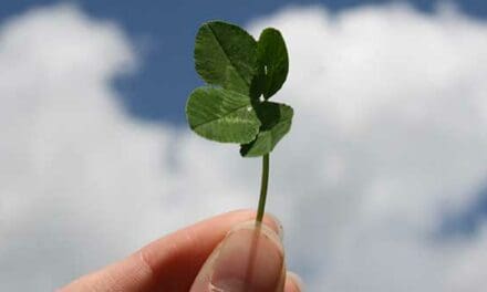 Take control and create your own job search luck
