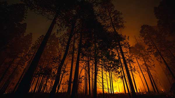 Don’t blame wildfires on climate change
