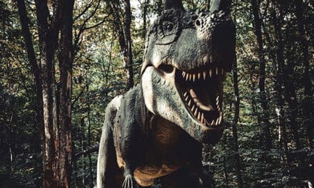 A new study refutes claims that T-rex had the intelligence of a baboon