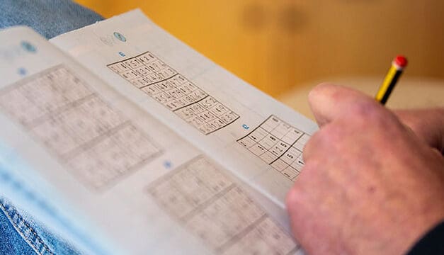 The Best Mathematical Games for Numerical Brains