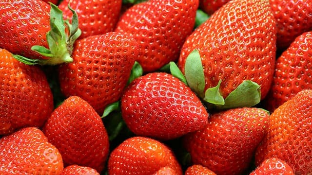 Strawberries • Troy Media Strawberries: Impact of California bumper crop strawberry farmers canada