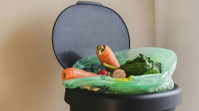 Food-waster-grocery • Troy Media Discover the staggering scale of food waste in Canada. How food rescue initiatives are gaining traction amid rising grocery prices