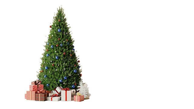 Discover the unique Christmas traditions and foods that make holiday celebrations special in Canada