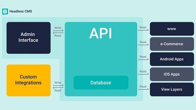 A Headless CMS centralizes content, enables omnichannel delivery, and future-proofs your digital strategy