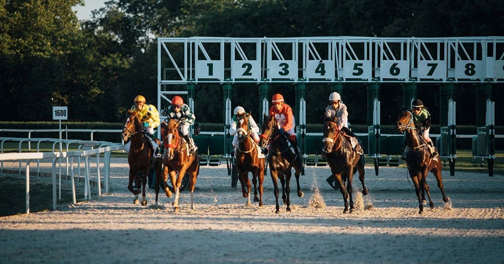 Horse-racing • Troy Media Learn how to watch, bet, and enjoy the 2025 Preakness Stakes at Pimlico