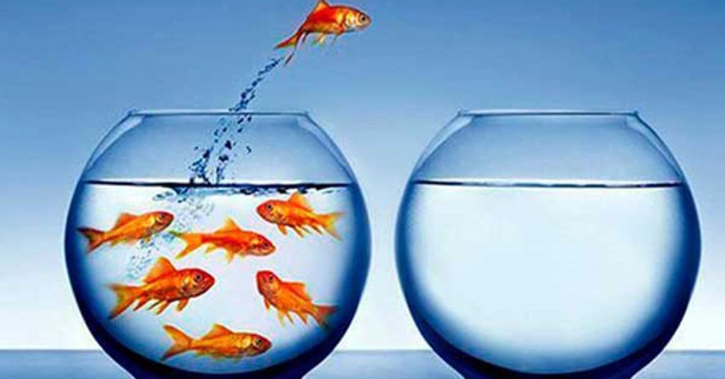 Standing out isn’t optional: It’s what separates the hired from the overlooked in today’s competitive job market