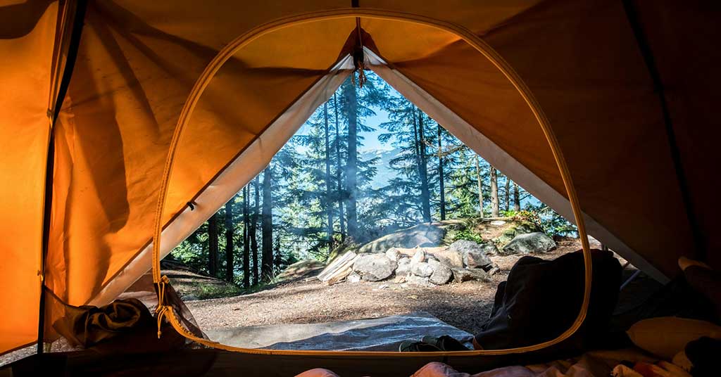 Nova Scotia K fine for walking in the foresthas critics warning the wildfire policy puts freedoms and public trust at serious risk