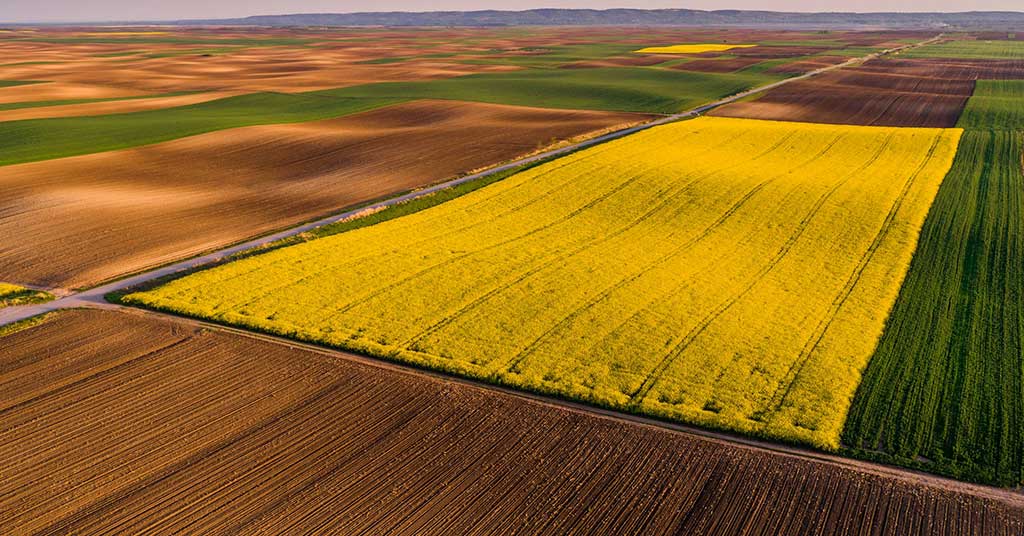 The Canada and China trade thaw wasn’t ideological. It followed years of real damage to agriculture as U.S. trade certainty and policy bets fell short