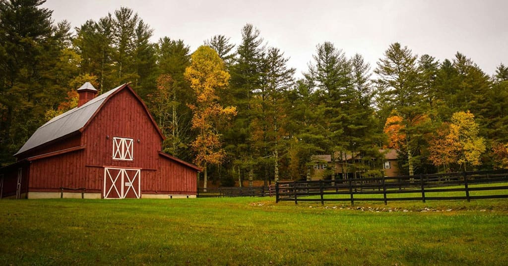 Barn-farm-agriculture • Troy Media Barn design affects animals, ventilation and daily work. Better barn design improves airflow and protects animals