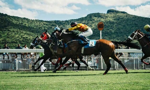 Why Are Australian Horse Racing Fans Using Online Platforms More Often?